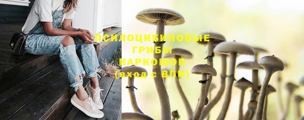 хмурый Нефтекумск