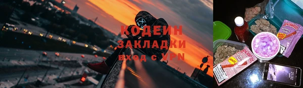 гашик Новозыбков