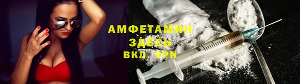 гашик Новозыбков