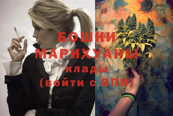гашик Новозыбков