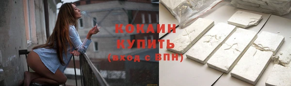 гашик Новозыбков