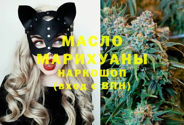 гашик Новозыбков