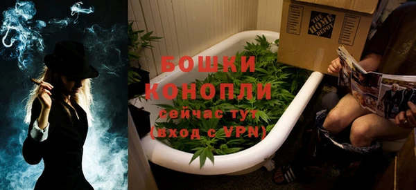 гашик Новозыбков