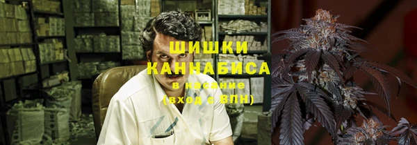 хмурый Нефтекумск