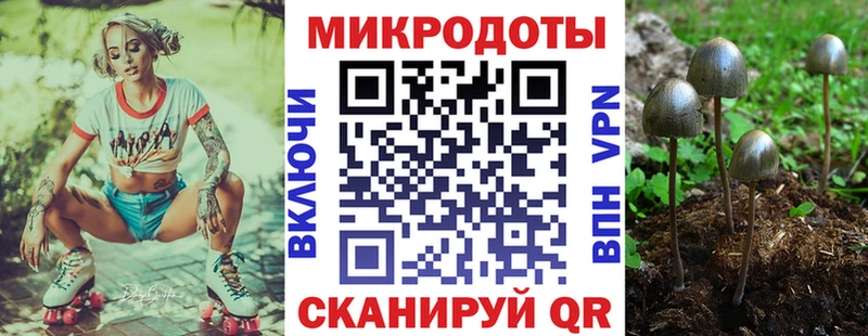 Псилоцибиновые грибы прущие грибы Кашира