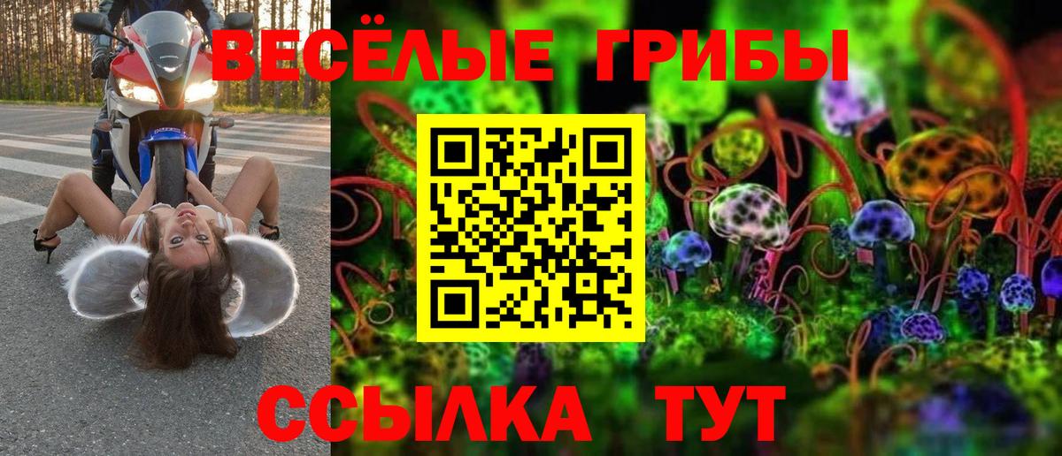 Галлюциногенные грибы ЛСД Кашира