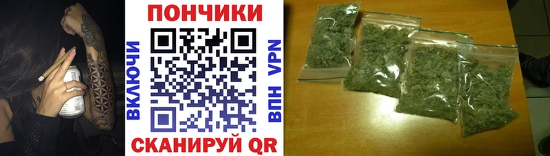 Шишки марихуана планчик  darknet Telegram  Кашира 